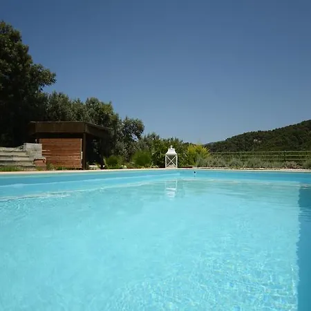 Aselinos Кукунарис